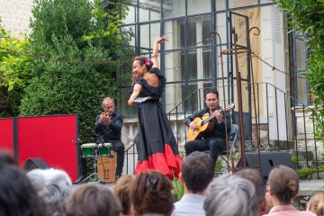 20230916-Flamenco-Schoelcher-BM-1533.jpg